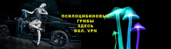 соль ск Россошь