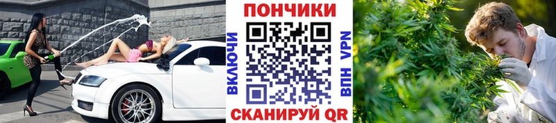 МАРИХУАНА THC 21%  Себеж 